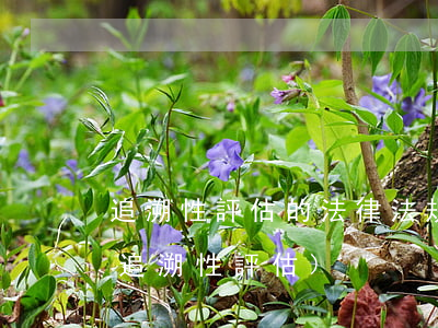 追溯性評估的法律法規(guī)(什么是追溯性評估)