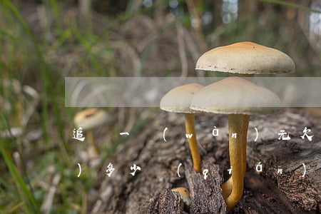 追討一萬(wàn)元欠款律師費(fèi)多少錢(qián)(追討欠款律師費(fèi)誰(shuí)出)