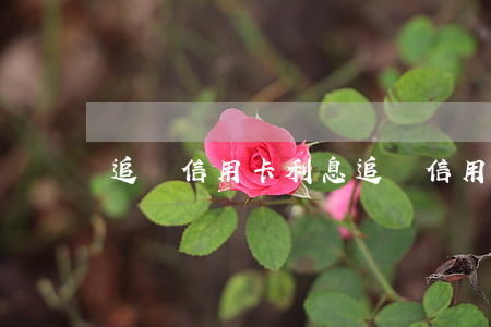 追討信用卡利息(追討信用卡利息怎么算)