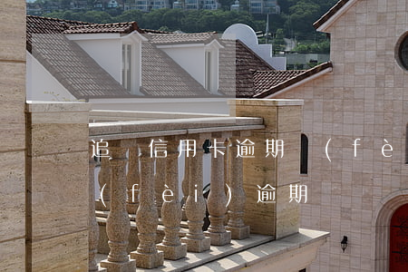 追討信用卡逾期費(fèi)用(信用卡 年費(fèi)逾期)