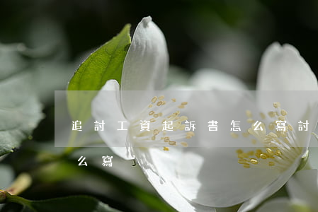 追討工資起訴書怎么寫(討要工資的起訴書怎么寫)