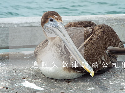 追討欠款律師函,公司催收欠款律師函范文