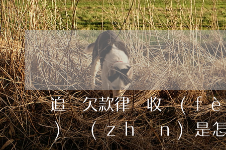 追討欠款律師收費(fèi)標(biāo)準(zhǔn)是怎樣的（如果是生意欠款被起訴會(huì)怎樣）