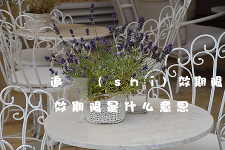 追訴時(shí)效期限(追訴時(shí)效期限是什么意思)