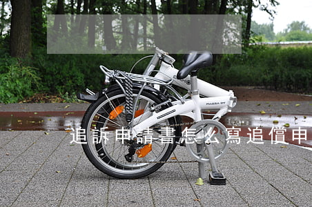 追訴申請書怎么寫(追償申請書怎么寫)