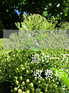 追讨一万元欠款律师费多少钱(追讨欠款律师收费标准)