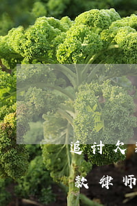 追讨欠款律师费可以由债务人付吗-追讨欠款律师费可以由债务人付吗
