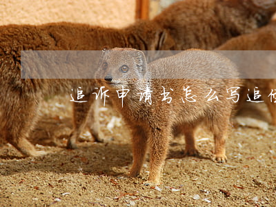 追诉申请书怎么写(追偿申请书怎么写)