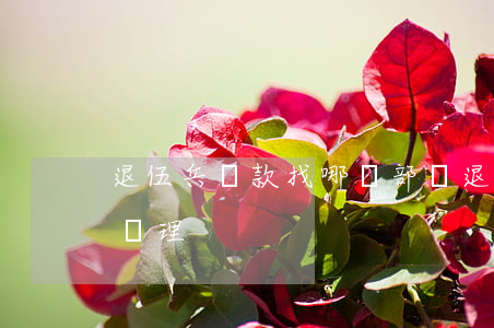 退伍兵貸款找哪個部門(退役士兵貸款去哪里辦理)