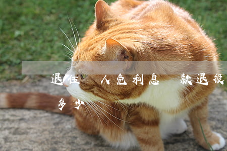 退伍軍人免利息貸款(退役軍人可以免息貸款多少)