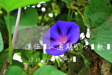 退伍軍人逾期可以貸款嗎(貸款逾期能當(dāng)兵嗎)