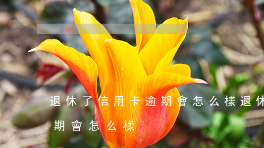 退休了信用卡逾期會怎么樣(退休了信用卡逾期會怎么樣)