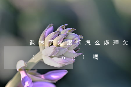 退休了欠銀行怎么處理(欠銀行錢退休金能領(lǐng)嗎)