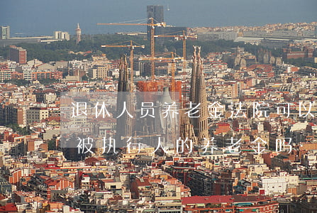 退休人员养老金法院可以执行吗(法院可执行被执行人的养老金吗?)