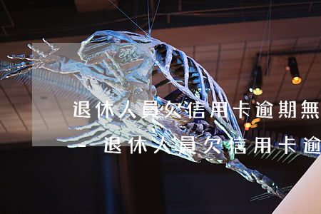 退休人員欠信用卡逾期無(wú)能力還款-退休人員欠信用卡逾期無(wú)能力還款怎么辦