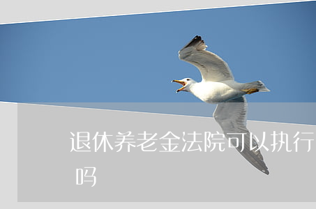 退休养老金法院可以执行吗(养老金可以执行吗?)