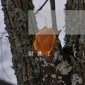 退休工資計(jì)算方法是怎樣的