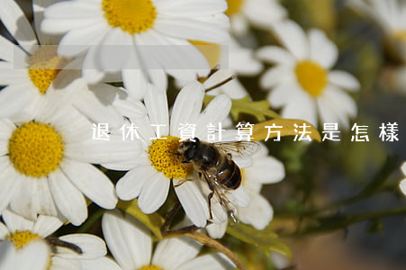 退休工資計算方法是怎樣的