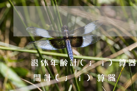 退休年齡計(jì)算器(退休時(shí)間計(jì)算器)