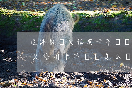退休教師欠信用卡不還會怎么樣-退休教師欠信用卡不還會怎么樣嗎