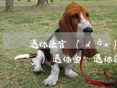 退休法官擔(dān)任律師能領(lǐng)退休金嗎(退休法官可以當(dāng)法律工作者嗎)