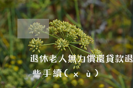 退休老人無力償還貸款 退休老人貸款需要哪些手續(xù)