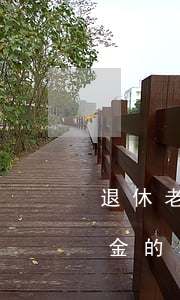 退休老人被車撞了怎么賠償(車禍撞死有退休金的老人)