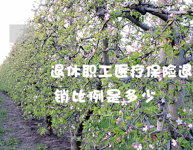 退休职工医疗保险(退休职工医疗保险住院报销比例是多少)