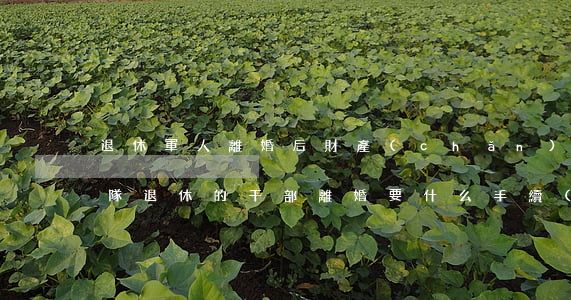 退休軍人離婚后財產(chǎn)分配(在部隊退休的干部離婚要什么手續(xù)?)