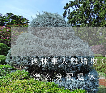 退休軍人離婚財(cái)產(chǎn)怎么分配(退休軍人離婚財(cái)產(chǎn)怎么分配)