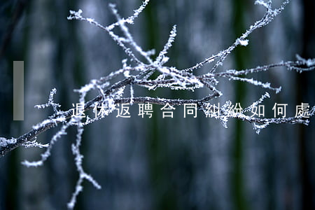 退休返聘合同糾紛如何處理