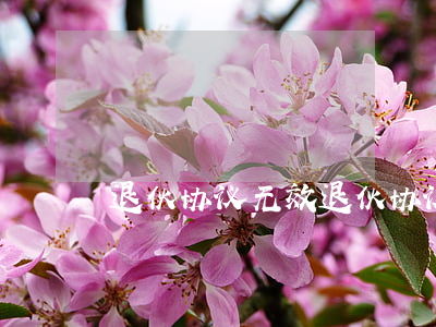 退伙协议无效（退伙协议逾期）