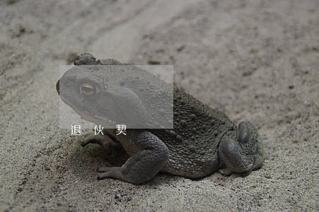 退伙契約書