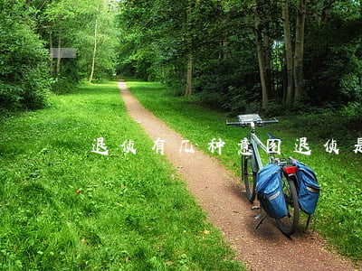 退侦有几种意图(退侦是好是坏)