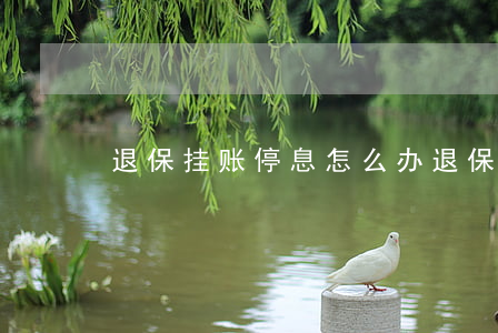退保挂账停息怎么办(退保挂账停息怎么办)