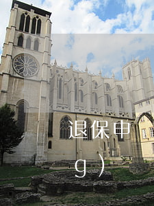 退保申請(qǐng)書(退保申請(qǐng)書簡(jiǎn)單模板)