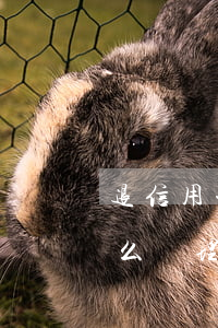 退信用卡利息犯法嗎(退信用卡利息犯法嗎怎么處理)