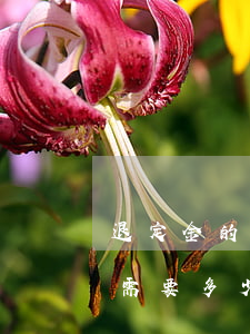 退定金的官司一般要多少錢(退定金請個律師需要多少錢)
