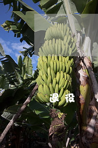退役軍人信用卡逾期能給免利息嗎