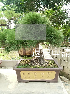 退房申請書模板(退房申請書模板)