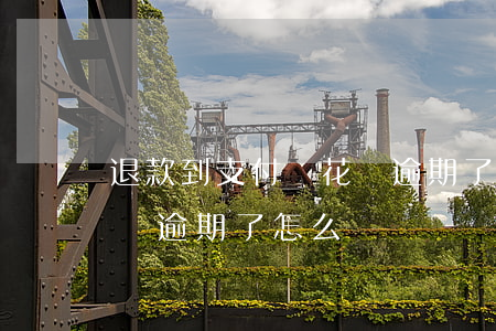 退款到支付寶花唄逾期了-退款到支付寶花唄逾期了怎么辦