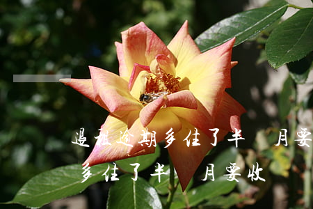 退租逾期多住了半個月要收費嗎-退租逾期多住了半個月要收費嗎合理嗎