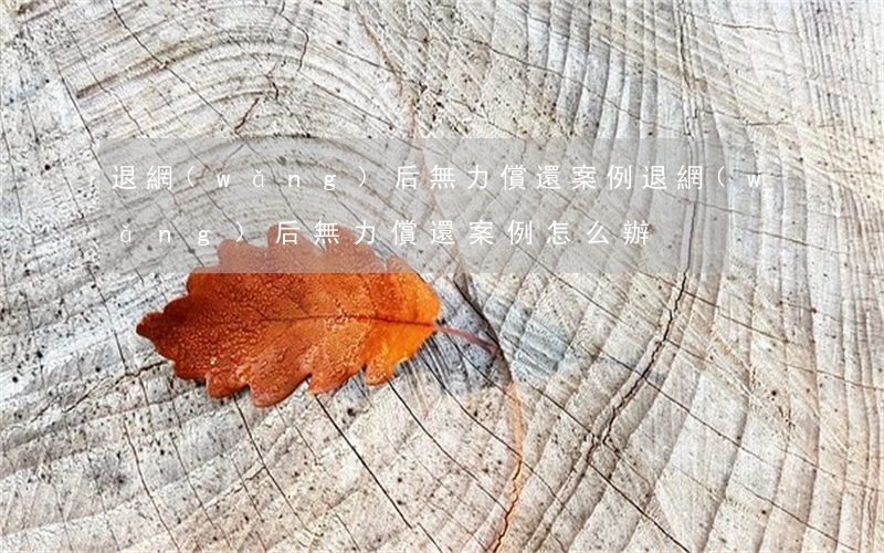 退網(wǎng)后無力償還案例(退網(wǎng)后無力償還案例怎么辦)