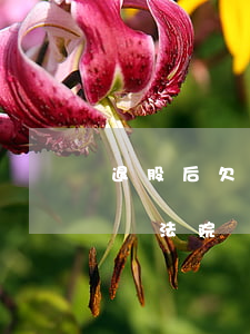 退股后欠錢怎么起訴 退股后公司債務是否承擔 法院