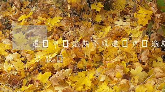退貨申請逾期不填(退貨申請逾期能再次申請退款嗎)