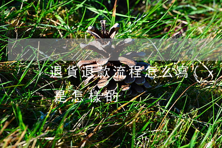 退貨退款流程怎么寫(xiě)(退貨的流程是怎樣的?)