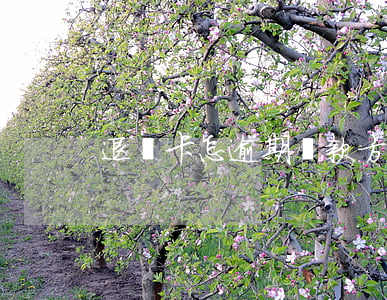 退資卡怎逾期還款方式(退款逾期怎么處理)