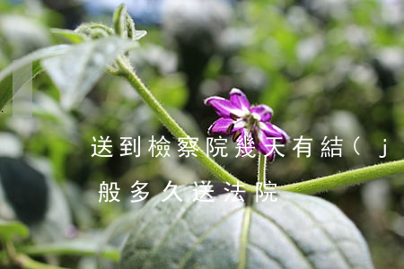 送到檢察院幾天有結(jié)果(檢察院一般多久送法院)