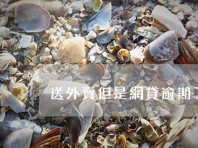 送外賣但是網貸逾期了(網貸逾期能跑外賣嗎)