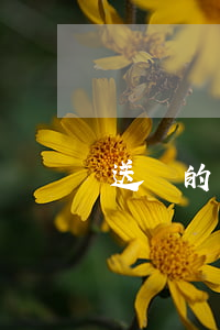 送達的方式主要有哪些